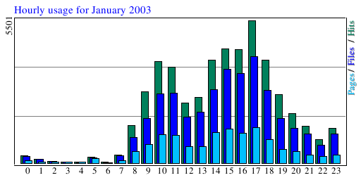 Hourly usage for January 2003